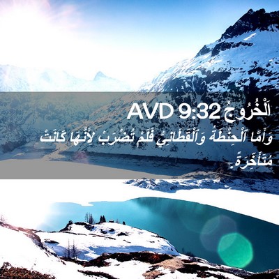 Picture 02 - اَلْخُرُوجُ 9:32 AVD - وَأَمَّا ٱلْحِنْطَةُ - Bible Verse Picture