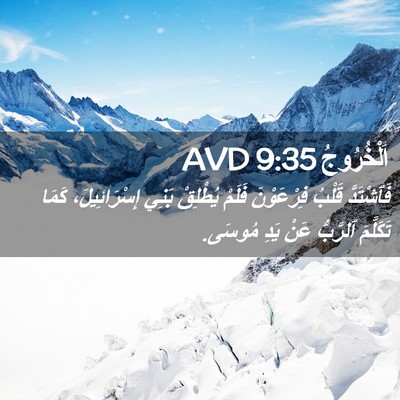 Picture 02 - اَلْخُرُوجُ 9:35 AVD - فَٱشْتَدَّ قَلْبُ - Bible Verse Picture