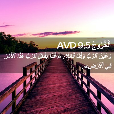 Picture 02 - اَلْخُرُوجُ 9:5 AVD - وَعَيَّنَ ٱلرَّبُّ - Bible Verse Picture