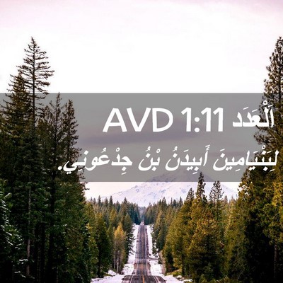 Picture 02 - اَلْعَدَد 1:11 AVD - لِبَنْيَامِينَ أَبِيدَنُ - Bible Verse Picture