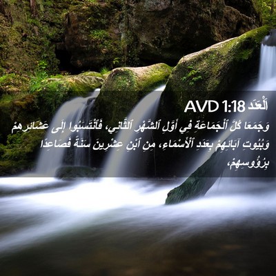 Picture 02 - اَلْعَدَد 1:18 AVD - وَجَمَعَا كُلَّ - Bible Verse Picture