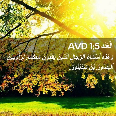 Picture 02 - اَلْعَدَد 1:5 AVD - وَهَذِهِ أَسْمَاءُ - Bible Verse Picture
