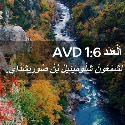 Picture 02 - اَلْعَدَد 1:6 AVD - لِشِمْعُونَ شَلُومِيئِيلُ - Bible Verse Picture