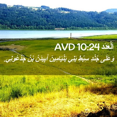 Picture 02 - اَلْعَدَد 10:24 AVD - وَعَلَى جُنْدِ سِبْطِ - Bible Verse Picture