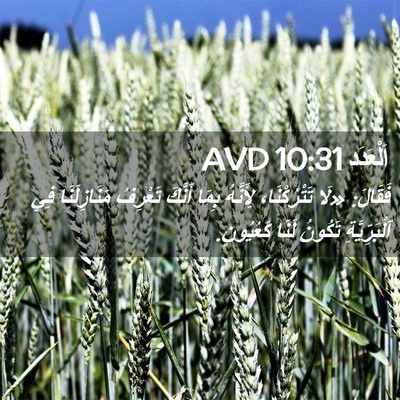 Picture 02 - اَلْعَدَد 10:31 AVD - فَقَالَ: «لَا تَتْرُكْنَا، - Bible Verse Picture