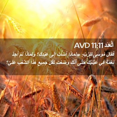 Picture 02 - اَلْعَدَد 11:11 AVD - فَقَالَ مُوسَى لِلرَّبِّ: - Bible Verse Picture