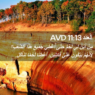 Picture 02 - اَلْعَدَد 11:13 AVD - مِنْ أَيْنَ لِي لَحْمٌ - Bible Verse Picture