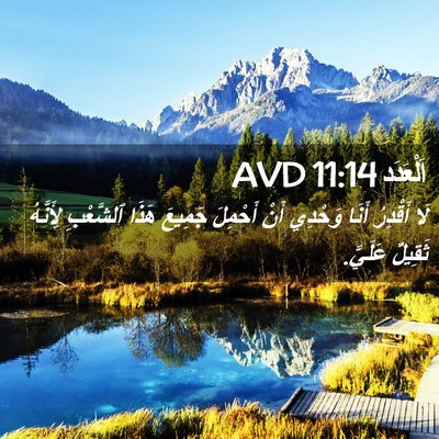 Picture 02 - اَلْعَدَد 11:14 AVD - لَا أَقْدِرُ أَنَا وَحْدِي - Bible Verse Picture