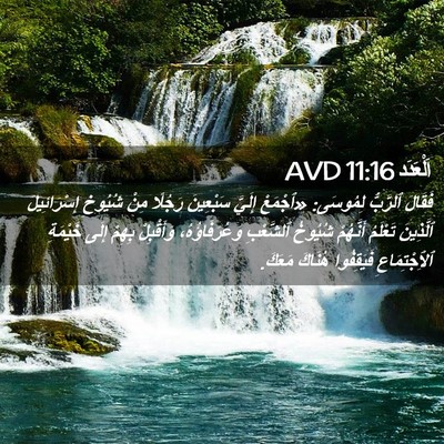 Picture 02 - اَلْعَدَد 11:16 AVD - فَقَالَ ٱلرَّبُّ لِمُوسَى: - Bible Verse Picture