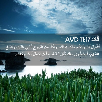 Picture 02 - اَلْعَدَد 11:17 AVD - فَأَنْزِلَ أَنَا - Bible Verse Picture