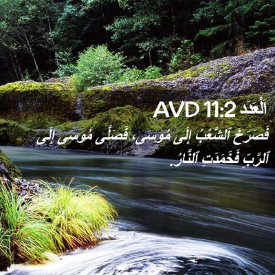 Picture 02 - اَلْعَدَد 11:2 AVD - فَصَرَخَ ٱلشَّعْبُ إِلَى - Bible Verse Picture