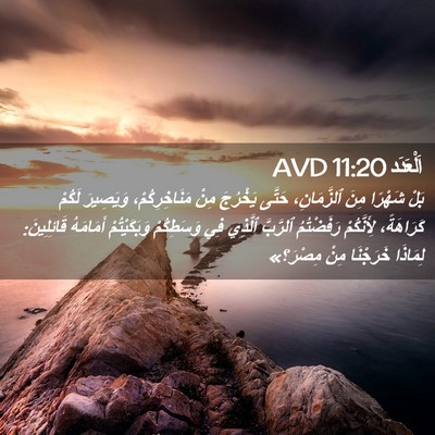 Picture 02 - اَلْعَدَد 11:20 AVD - بَلْ شَهْرًا مِنَ - Bible Verse Picture