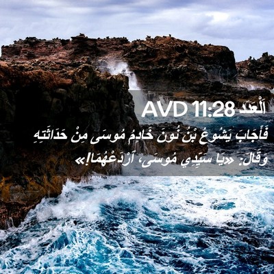 Picture 02 - اَلْعَدَد 11:28 AVD - فَأَجَابَ يَشُوعُ بْنُ - Bible Verse Picture