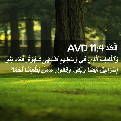 Picture 02 - اَلْعَدَد 11:4 AVD - وَٱللَّفِيفُ ٱلَّذِي فِي - Bible Verse Picture