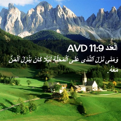 Picture 02 - اَلْعَدَد 11:9 AVD - وَمَتَى نَزَلَ ٱلنَّدَى - Bible Verse Picture