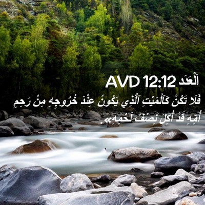 Picture 02 - اَلْعَدَد 12:12 AVD - فَلَا تَكُنْ كَٱلْمَيْتِ - Bible Verse Picture