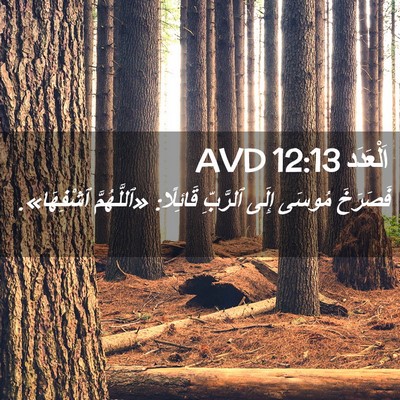 Picture 02 - اَلْعَدَد 12:13 AVD - فَصَرَخَ مُوسَى إِلَى - Bible Verse Picture