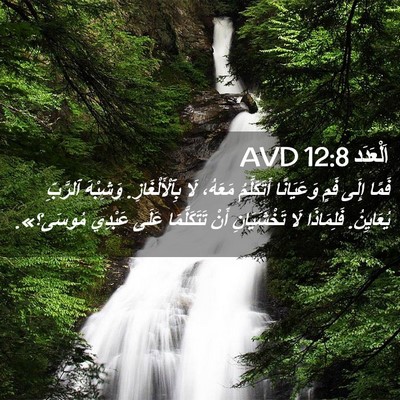 Picture 02 - اَلْعَدَد 12:8 AVD - فَمًا إِلَى فَمٍ - Bible Verse Picture