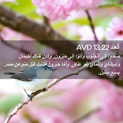 Picture 02 - اَلْعَدَد 13:22 AVD - صَعِدُوا إِلَى ٱلْجَنُوبِ - Bible Verse Picture