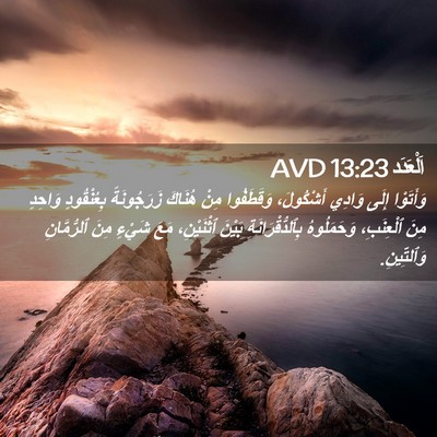 Picture 02 - اَلْعَدَد 13:23 AVD - وَأَتَوْا إِلَى وَادِي - Bible Verse Picture
