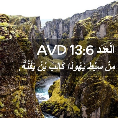 Picture 02 - اَلْعَدَد 13:6 AVD - مِنْ سِبْطِ يَهُوذَا - Bible Verse Picture