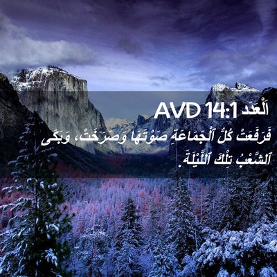 Picture 02 - اَلْعَدَد 14:1 AVD - فَرَفَعَتْ كُلُّ - Bible Verse Picture