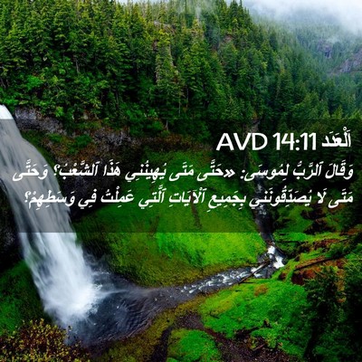 Picture 02 - اَلْعَدَد 14:11 AVD - وَقَالَ ٱلرَّبُّ لِمُوسَى: - Bible Verse Picture