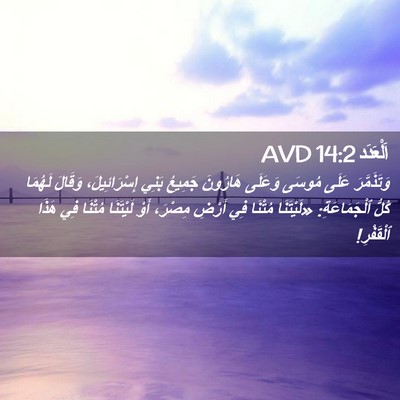 Picture 02 - اَلْعَدَد 14:2 AVD - وَتَذَمَّرَ عَلَى مُوسَى - Bible Verse Picture