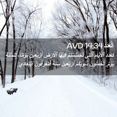 Picture 02 - اَلْعَدَد 14:34 AVD - كَعَدَدِ ٱلْأَيَّامِ - Bible Verse Picture