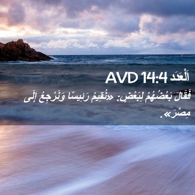 Picture 02 - اَلْعَدَد 14:4 AVD - فَقَالَ بَعْضُهُمْ - Bible Verse Picture