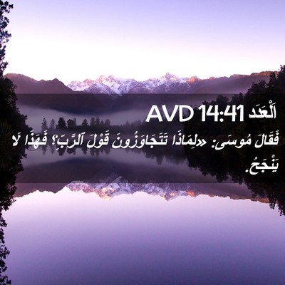 Picture 02 - اَلْعَدَد 14:41 AVD - فَقَالَ مُوسَى: «لِمَاذَا - Bible Verse Picture