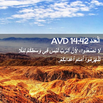 Picture 02 - اَلْعَدَد 14:42 AVD - لَا تَصْعَدُوا، لِأَنَّ - Bible Verse Picture
