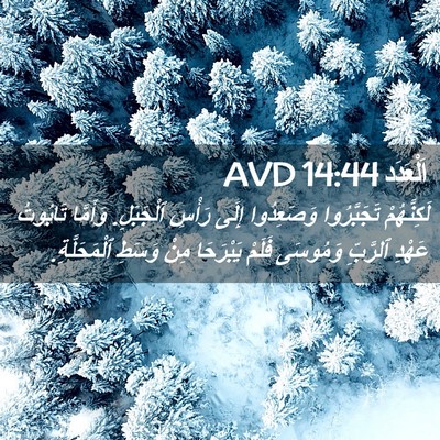 Picture 02 - اَلْعَدَد 14:44 AVD - لَكِنَّهُمْ تَجَبَّرُوا - Bible Verse Picture