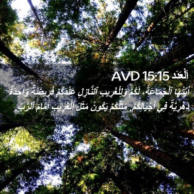 Picture 02 - اَلْعَدَد 15:15 AVD - أَيَّتُهَا ٱلْجَمَاعَةُ، - Bible Verse Picture