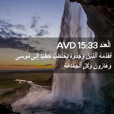 Picture 02 - اَلْعَدَد 15:33 AVD - فَقَدَّمَهُ ٱلَّذِينَ - Bible Verse Picture