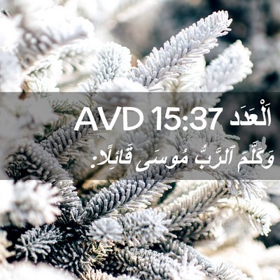Picture 02 - اَلْعَدَد 15:37 AVD - وَكَلَّمَ ٱلرَّبُّ مُوسَى - Bible Verse Picture