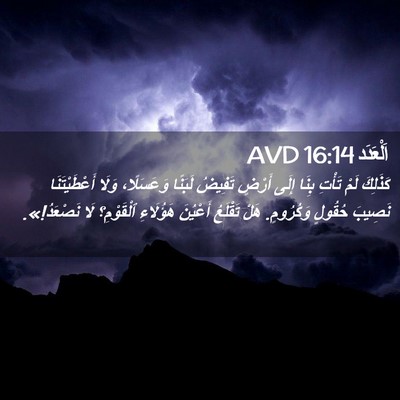 Picture 02 - اَلْعَدَد 16:14 AVD - كَذَلِكَ لَمْ تَأْتِ بِنَا - Bible Verse Picture