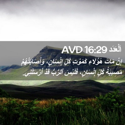 Picture 02 - اَلْعَدَد 16:29 AVD - إِنْ مَاتَ هَؤُلَاءِ - Bible Verse Picture