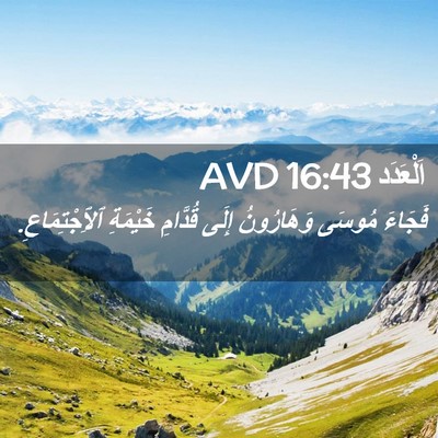 Picture 02 - اَلْعَدَد 16:43 AVD - فَجَاءَ مُوسَى وَهَارُونُ - Bible Verse Picture
