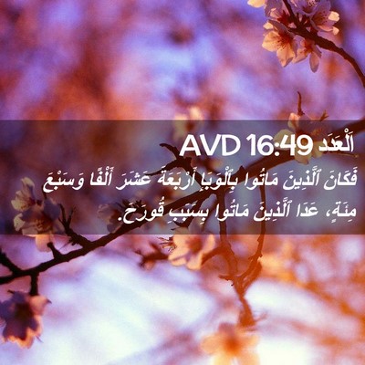 Picture 02 - اَلْعَدَد 16:49 AVD - فَكَانَ ٱلَّذِينَ مَاتُوا - Bible Verse Picture