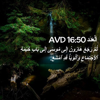 Picture 02 - اَلْعَدَد 16:50 AVD - ثُمَّ رَجَعَ هَارُونُ - Bible Verse Picture