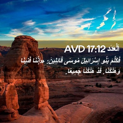 Picture 02 - اَلْعَدَد 17:12 AVD - فَكَلَّمَ بَنُو - Bible Verse Picture