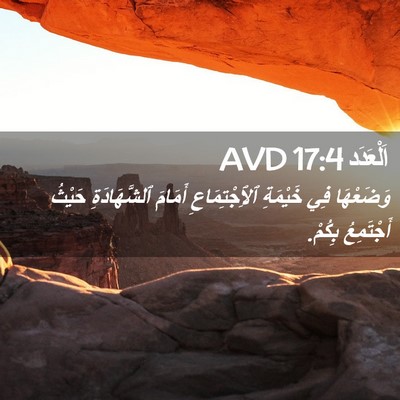 Picture 02 - اَلْعَدَد 17:4 AVD - وَضَعْهَا فِي خَيْمَةِ - Bible Verse Picture