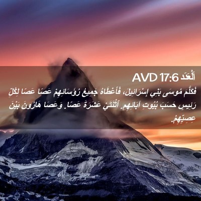 Picture 02 - اَلْعَدَد 17:6 AVD - فَكَلَّمَ مُوسَى بَنِي - Bible Verse Picture