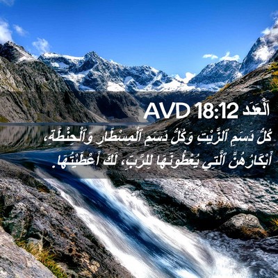 Picture 02 - اَلْعَدَد 18:12 AVD - كُلُّ دَسَمِ ٱلزَّيْتِ - Bible Verse Picture