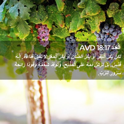 Picture 02 - اَلْعَدَد 18:17 AVD - لَكِنْ بِكْرُ ٱلْبَقَرِ - Bible Verse Picture