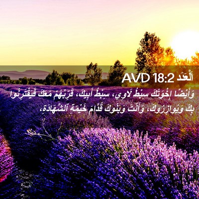 Picture 02 - اَلْعَدَد 18:2 AVD - وَأَيْضًا إِخْوَتُكَ - Bible Verse Picture