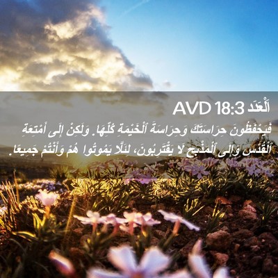 Picture 02 - اَلْعَدَد 18:3 AVD - فَيَحْفَظُونَ حِرَاسَتَكَ - Bible Verse Picture