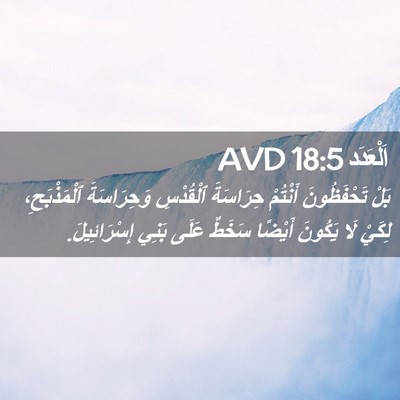 Picture 02 - اَلْعَدَد 18:5 AVD - بَلْ تَحْفَظُونَ أَنْتُمْ - Bible Verse Picture