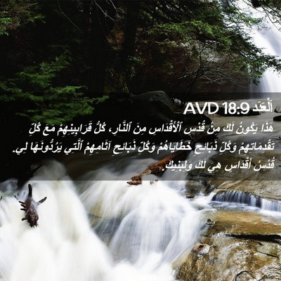 Picture 02 - اَلْعَدَد 18:9 AVD - هَذَا يَكُونُ لَكَ مِنْ - Bible Verse Picture